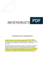 BIOENERGÉTICA