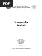 Vigan Demographic Analysis