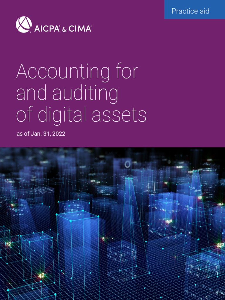 Accounting For and Auditing of Digital Assets PDF Fair Value Book