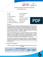 Anexo 06-Modelo de Informe Del Plan Anual de Trabajo de Los Ccyt