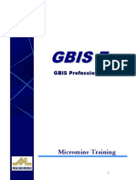 GBIS Professional Training