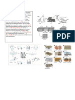 Process Example and Flow Charts