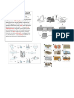 Process Example and Flow Charts