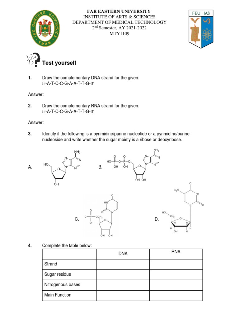 Lecture Module 5 Practice Exercise For Nucleic Acids PDF