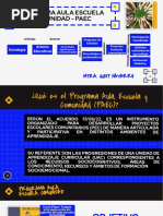 Ejemplo de PAEC para Bachillerato | PDF