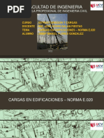 Explicación de la Norma E.020 - Cargas | PDF | Herida | Ingeniero civil