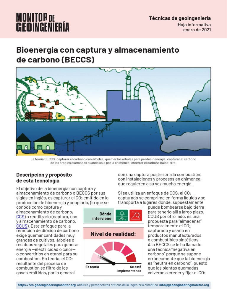 BECCS: Desafíos y Realidad de la Captura de Carbono | PDF | Dióxido de ...