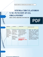 El Sistema Circulatorio Terminado