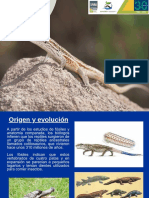 Clase Reptiles.ppt