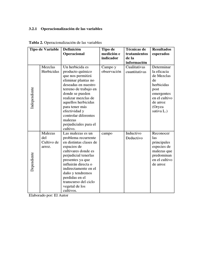 Operacionalizacion de Las Variables | PDF