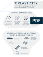 Neuroplasticity - Changing The Brain Infograph