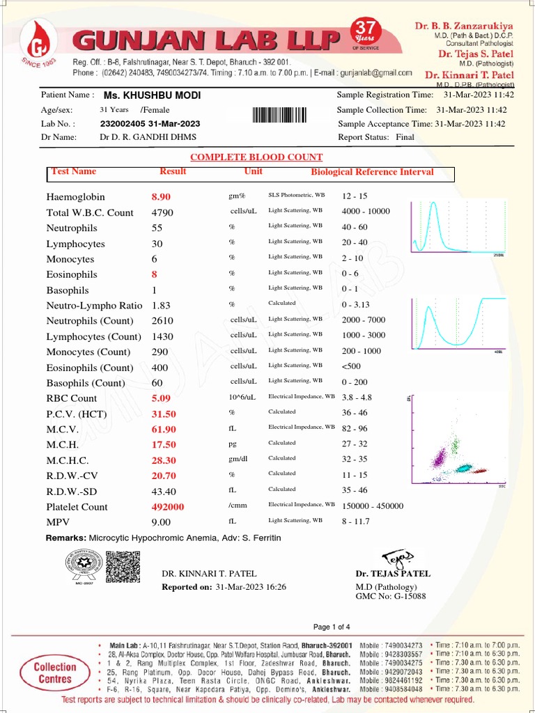 Report PDF Vitamin B12 Anemia