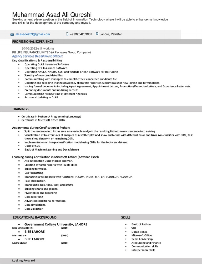 Professional Resume Template | PDF | Microsoft Excel | Computing