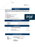 Sample Resume in Professional Format
