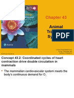 43 Lecture Presentation-Short