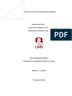 Plan Maestro de Actuación e Intervención en Emergencia-2