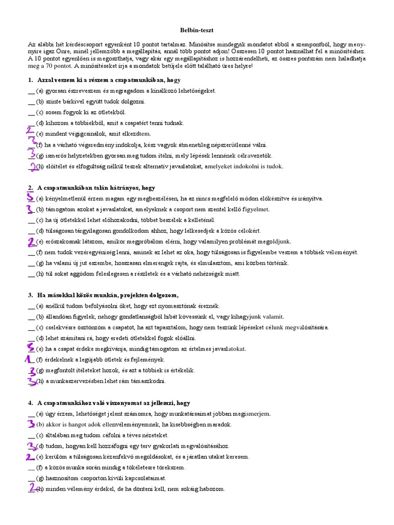 Belbin Teszt | PDF