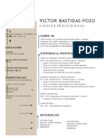 Curriculum Vitae Victor Bastidas - Postulante Chofer Profesional