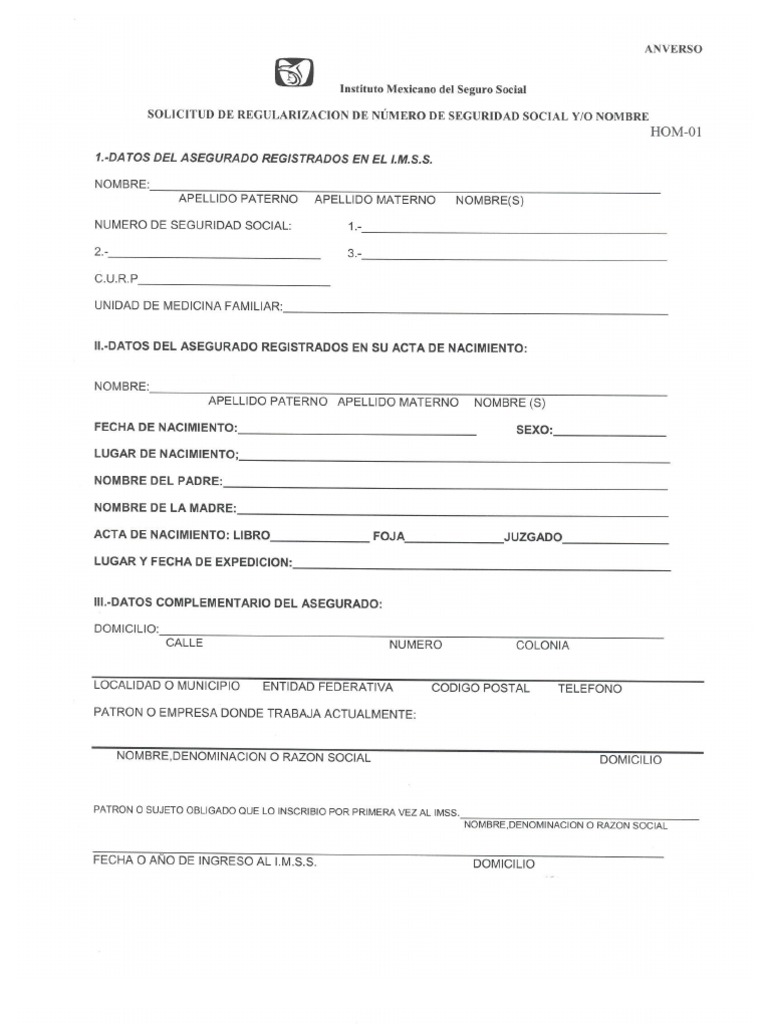 Formato Imss Correcion de Datos | PDF