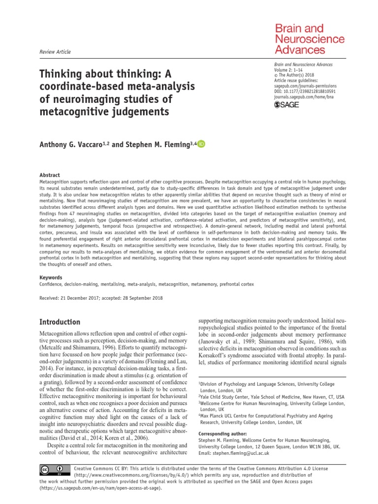 Thinking About Thinking A Coordinate-Based Meta-An | PDF ...