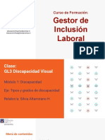 GL 3 Discapacidad Visual