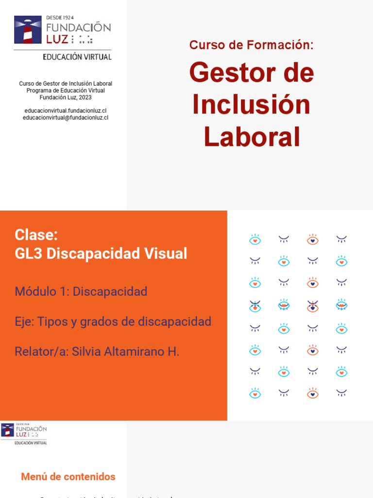 Inclusión Laboral y Discapacidad Visual | PDF | Percepción visual | Ojo ...