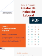 GL 5 Discapacidad Cognitiva