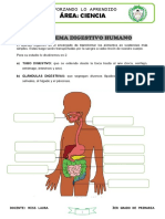 1.-Ficha Ciencias 3ero Sem1 Iibim