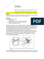 Tema Nº20. Tu Anexial y Cáncer de Ovario