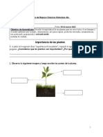 Guia de Repaso Ciencias Naturales 4to