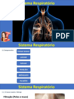 Sistema Respiratorio