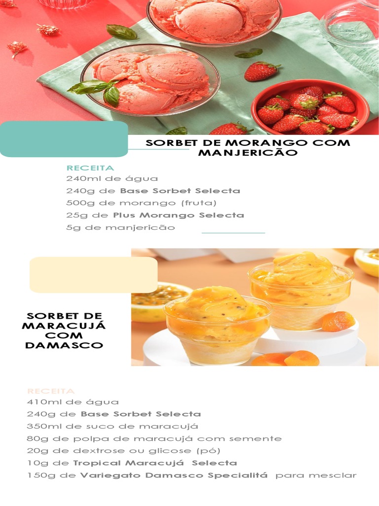 Receitas de Sorbet com Base Selecta | PDF