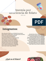 Anemia Por Deficiencia de Folato