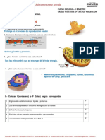 Bio (f6)