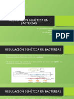Regulación Genética en Bacterias