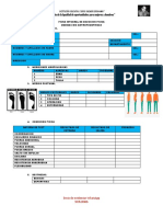 Ficha Antropometrica