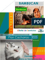 Bambucan - Arya Plan Cachorro 2023