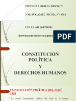 2-Constitucion Politica y Derechos Humanos