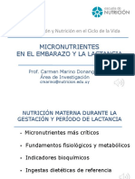 Micronutrientes Embarazo Lactancia 2020pptm