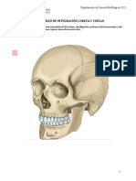 Actividad de Integracion Osteología - Artrología - M - 230611 - 150948