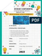 Práctica 4 - Biología Laboratorio