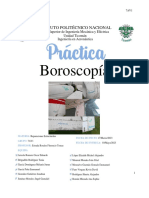 Práctica - Boroscopía