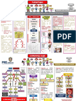 Parentesco Teória - Práctica (Consolidado)