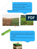 Preparación de Terrenos y Fertilizacion