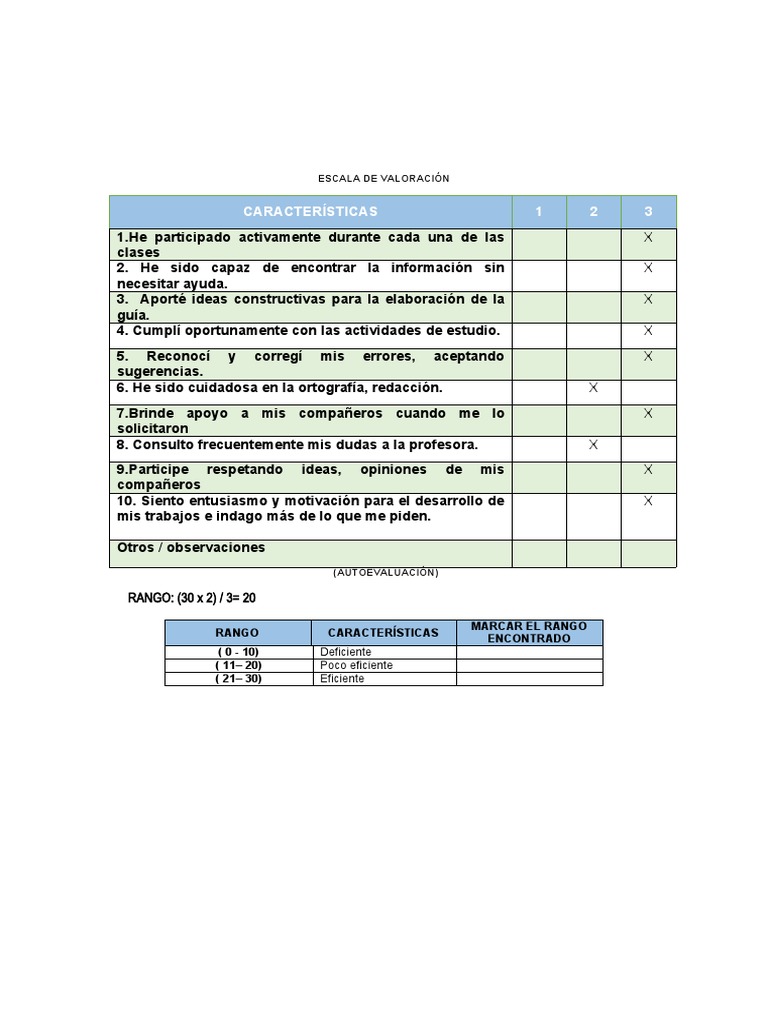 Instrumentos de Autoevaluación y Coevaluación | PDF