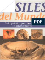 Fosiles Del Mundo Paleontologia