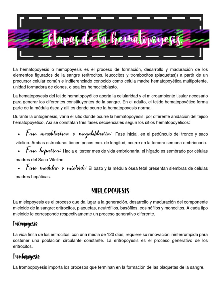 hematopoyesis-descargar-gratis-pdf-hematopoyesis-anatom-a