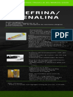 Infografía Epinefrina - Adrenalina