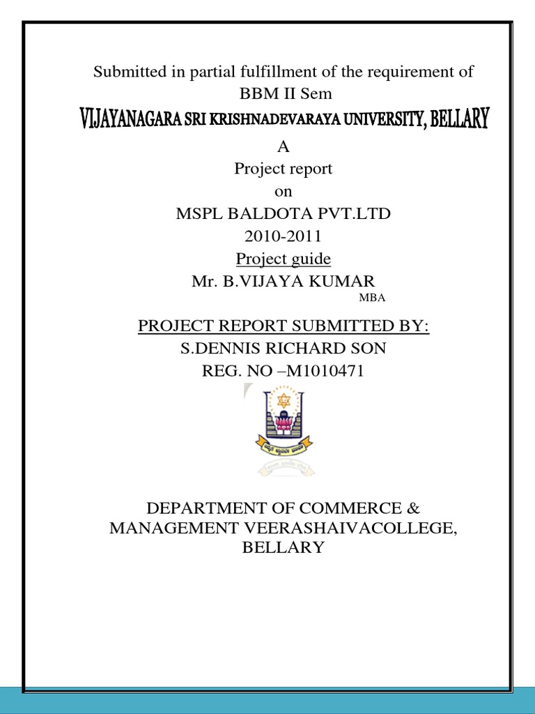MSPL Baldota Mining Overview Report | PDF | Mining | Iron Ore