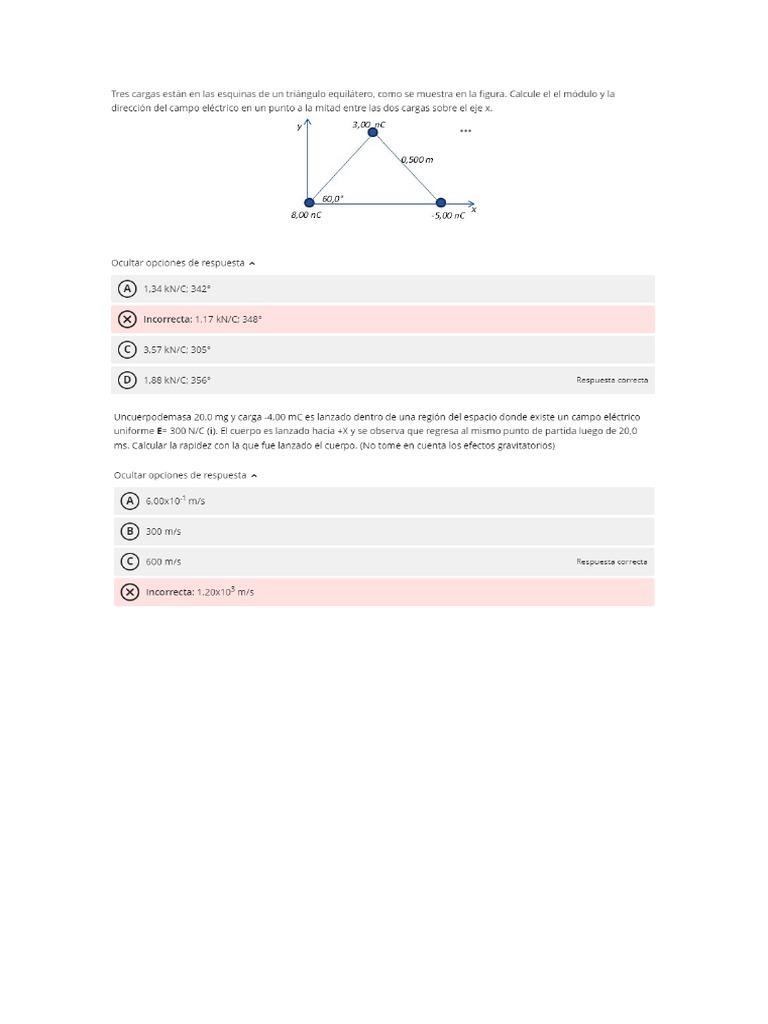 Typing Cat Test Online 1 Minute
